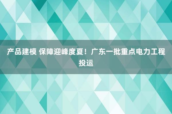 产品建模 保障迎峰度夏！广东一批重点电力工程投运