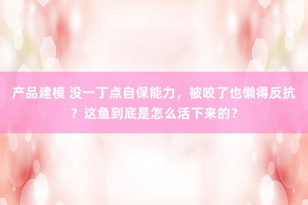 产品建模 没一丁点自保能力，被咬了也懒得反抗？这鱼到底是怎么活下来的？