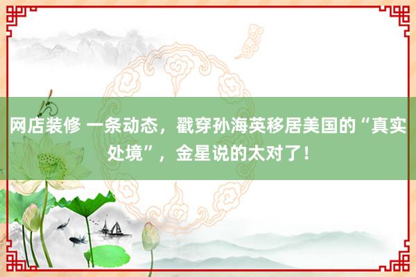 网店装修 一条动态，戳穿孙海英移居美国的“真实处境”，金星说的太对了！