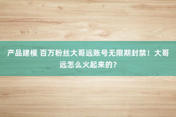 产品建模 百万粉丝大哥远账号无限期封禁！大哥远怎么火起来的？