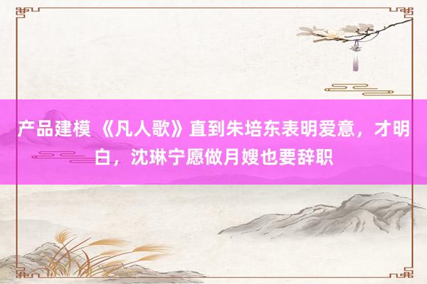 产品建模 《凡人歌》直到朱培东表明爱意，才明白，沈琳宁愿做月嫂也要辞职